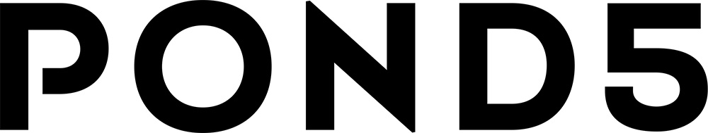 PON.logo.type